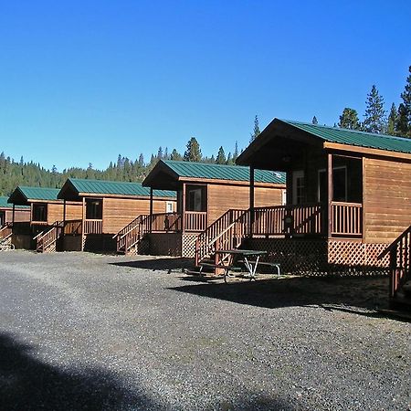 Yosemite Lakes Wheelchair Accessible Cabin 46 Harden Flat Extérieur photo